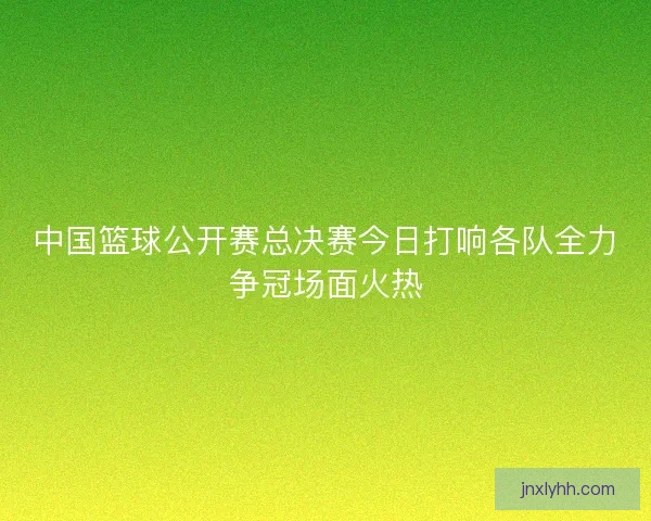 中国篮球公开赛总决赛今日打响各队全力争冠场面火热 中国篮球公开赛总决赛今日打响各队全力争冠场面火热