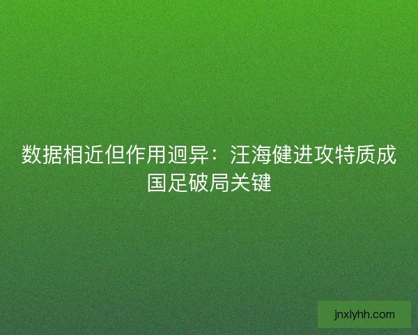 数据相近但作用迥异：汪海健进攻特质成国足破局关键